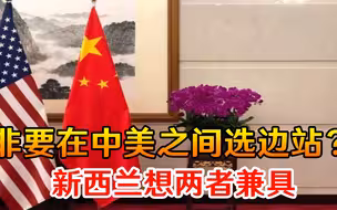 非要在中美之间选边站？新西兰商人灵魂拷问：我们不能两者兼具吗
