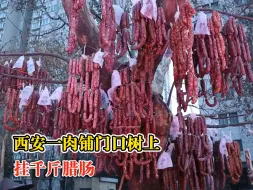 西安一肉铺门口树上挂千斤腊肠
