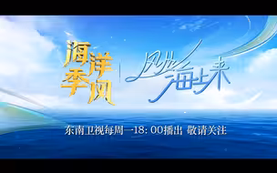 《风从海上来》深度体验福建海洋经济