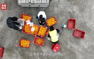 已奔赴22个省份！为农民做的这件事，好暖心！