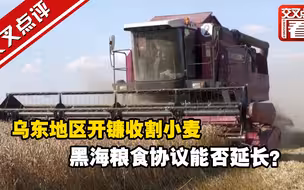 乌东地区开镰收割小麦 黑海粮食协议能否延长？