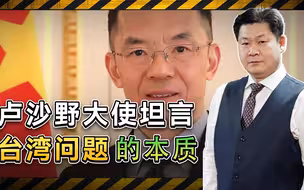 卢沙野大使的话一针见血：台湾问题本质是中国统一内战的尚未终结