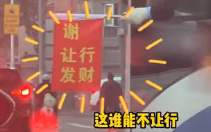 11月16日，上海。下雨天道路拥堵，公交车想变道，司机伸出了让后车无法拒绝的小旗子！