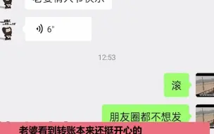 男子情人节给老婆转账1314元，附带一段语音让她气炸了：同款老公