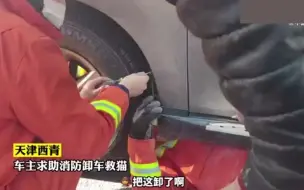 小奶猫取暖卡车底，车主求助消防员卸车救猫，小家伙还奶凶奶凶的！