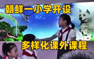 朝鲜平壤一小学开设多样化课外课程 英语、算盘、音乐等多维度培养才能