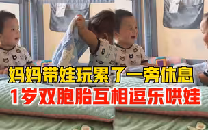 超萌！妈妈休息1岁双胞胎互相逗乐哄娃，笑声太治愈了