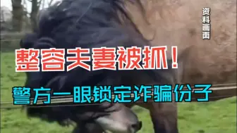 涉诈夫妻整容换脸潜逃十年 刑警在景区人海中一眼锁定