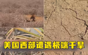 美国西部遭遇极端干旱，严重程度或为1200年以来之最