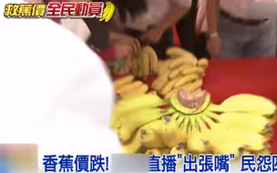 香蕉价跌！台政客说“给猪吃” 蕉农愤慨不已