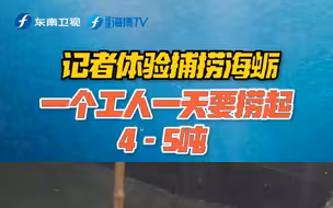 【风从海上来】记者体验捕捞海蛎一个工人一天要捞起4-5吨