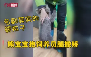 可可爱爱！这才是名副其实的熊孩子！