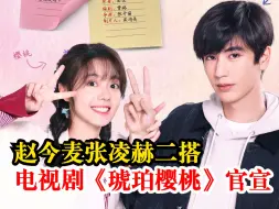 赵今麦张凌赫官宣二搭