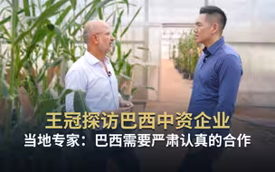 王冠探访巴西中资企业｜当地专家：巴西需要严肃认真的合作