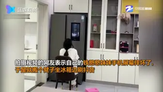 手机摔坏出奇招 用冰箱刷短视频
