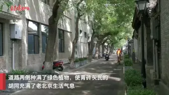 安静的胡同回来了！东四首个不停车街区亮相