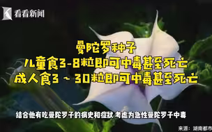曼陀罗种子可治青春痘？18岁大学生吃完住进ICU
