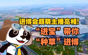 【“进宝”带你“种草”进博】进博会超萌主播亮相！戳视频进“直播间”