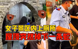 女子景区内上厕所屋顶掉下一条蛇，民警进厕所徒手擒蛇抓七寸