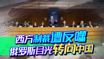 西方一通制裁，反倒自乱一套，俄罗斯目光转向中国：做最大供应商
