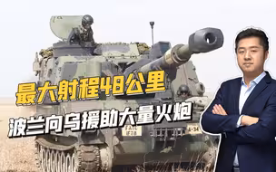 比英法德实在，波兰下血本力挺乌克兰，提供一批良心炮