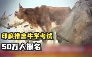 印度推出牛学考试50万人报名