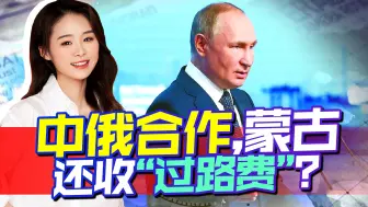 普京发出2个合作信号，中国积极响应，这次还不忘拉上邻国