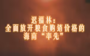 迟福林：全面放开粮食购销价格的海南“率先”