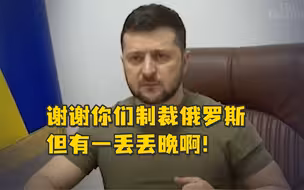 泽连斯基：谢谢欧盟制裁俄罗斯，但有一丢丢晚！