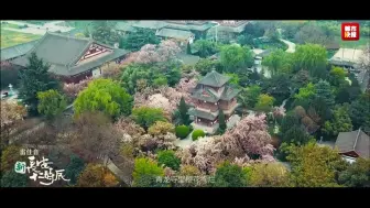 新《长安十二时辰》雷佳音友情配音版