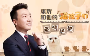 康辉为何吸猫成瘾？原来因为她