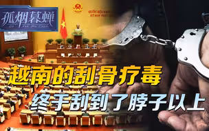越南副总理，一下被刮倒俩，越南的刮骨疗毒，终于刮到了脖子以上