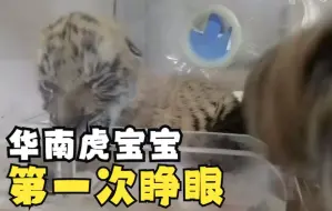 来，给他们凶一个
