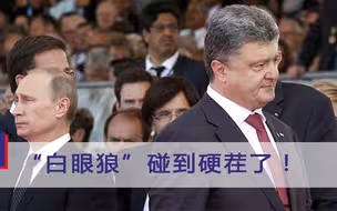 “白眼狼”碰到硬茬了！普京可没那么好惹，蠢事一件接着一件