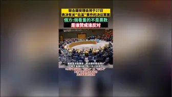 俄常驻联合国代表：俄看重的“不是票数，是谁赞成谁反对”