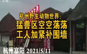 杭州野生动物世界探访：第三只豹仍难觅踪影，后山围墙铁丝护栏可见多处损坏