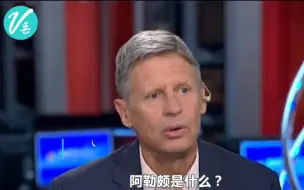 美政客、纽约时报接连被坑 凶手名叫……阿勒颇【观察者网】