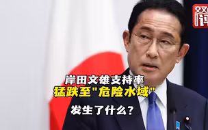 岸田文雄支持率猛跌 被嘲“还没气温数字高”
