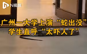 华南理工大学五山校区“蛇出没”？学校回应：已当场处置