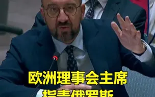 欧洲理事会主席在联合国公然指责俄罗斯，俄代表愤而离场。