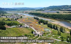 通化花海、东丰年画…吉林这片黑土地原来如此五彩斑斓！