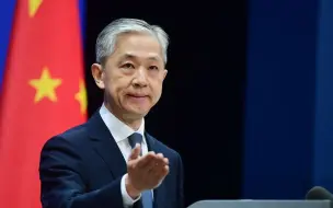 汪文斌：美方真正在意的只是满足美国需要、服务美国利益的规则