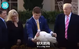 终于等到特朗普赦免火鸡啦！画风就是不一样