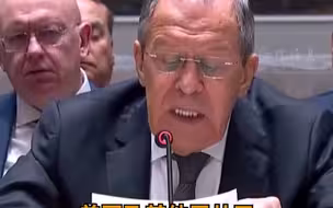 拉夫罗夫：美国的原则是“不和我们在一起就是反对我们”