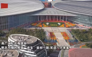 第五届进博会开幕倒计时！航拍“四叶草”花海缤纷