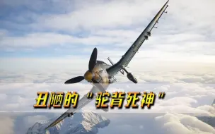 丑陋的“驼背死神”，绝非善茬儿，投弹误差不超过25米