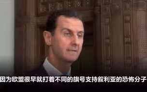 叙总统阿萨德称:欧盟很早就开始支持叙利亚的恐怖分子