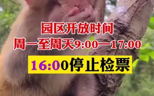 兰州野生动物园12月10日恢复试开园
