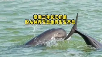 禁渔三年长江初愈，盼从休养生息走向生生不息