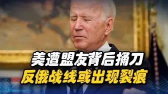 美疯狂拉拢盟友反俄，却遭欧盟背后捅刀，反俄战线或出现裂痕